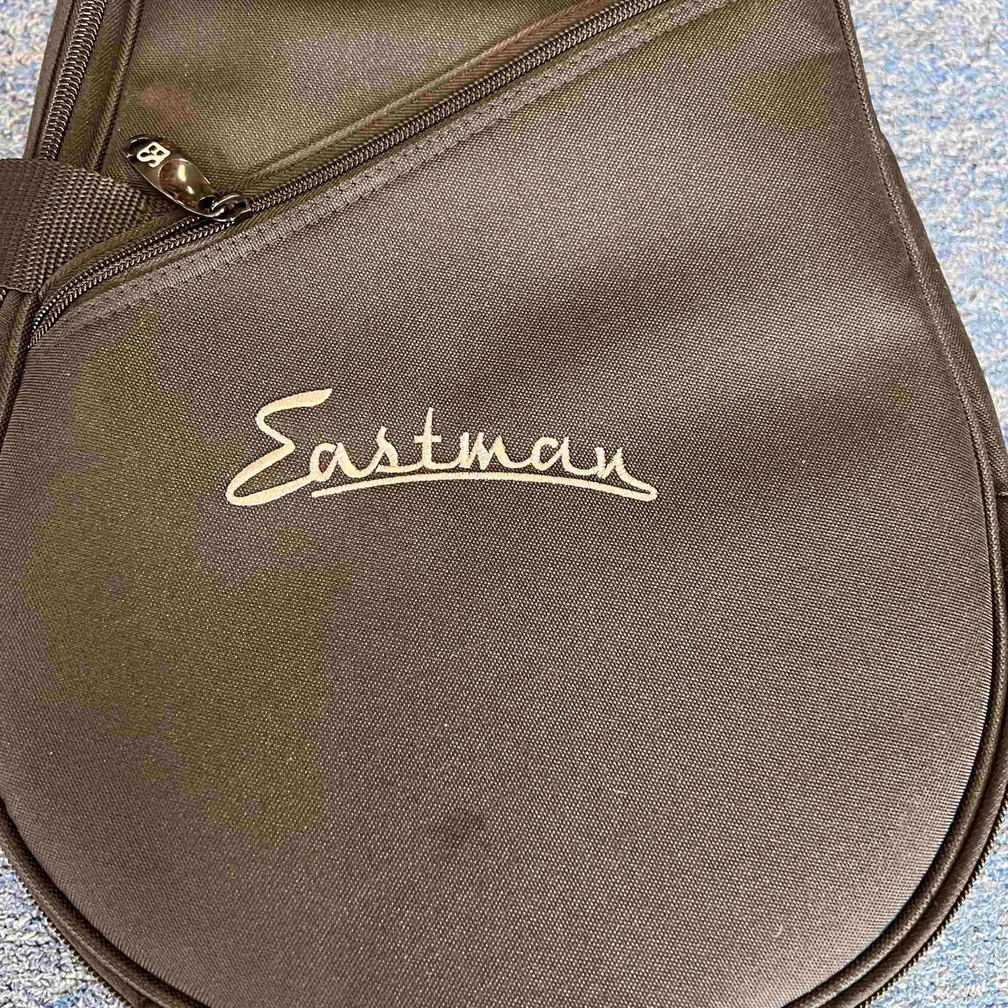 Eastman Mandolin Case black (used)